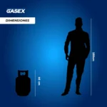 COMBO Venta Cilindro de Gas Propano 11 kg + Regulador
