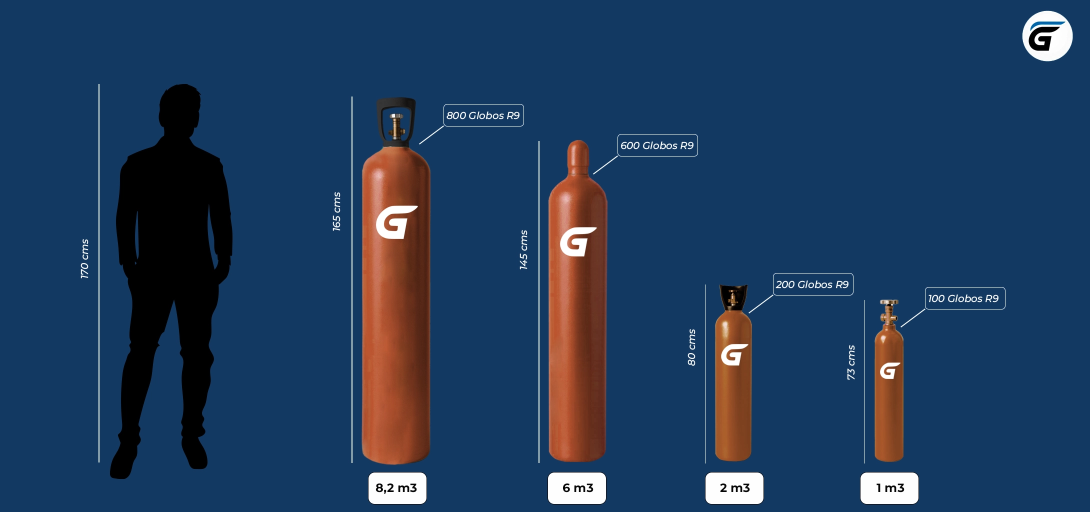 Gasex interactivo