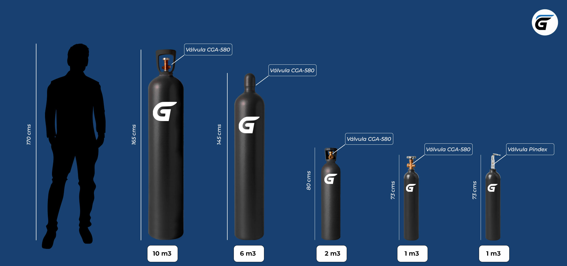 Gasex interactivo