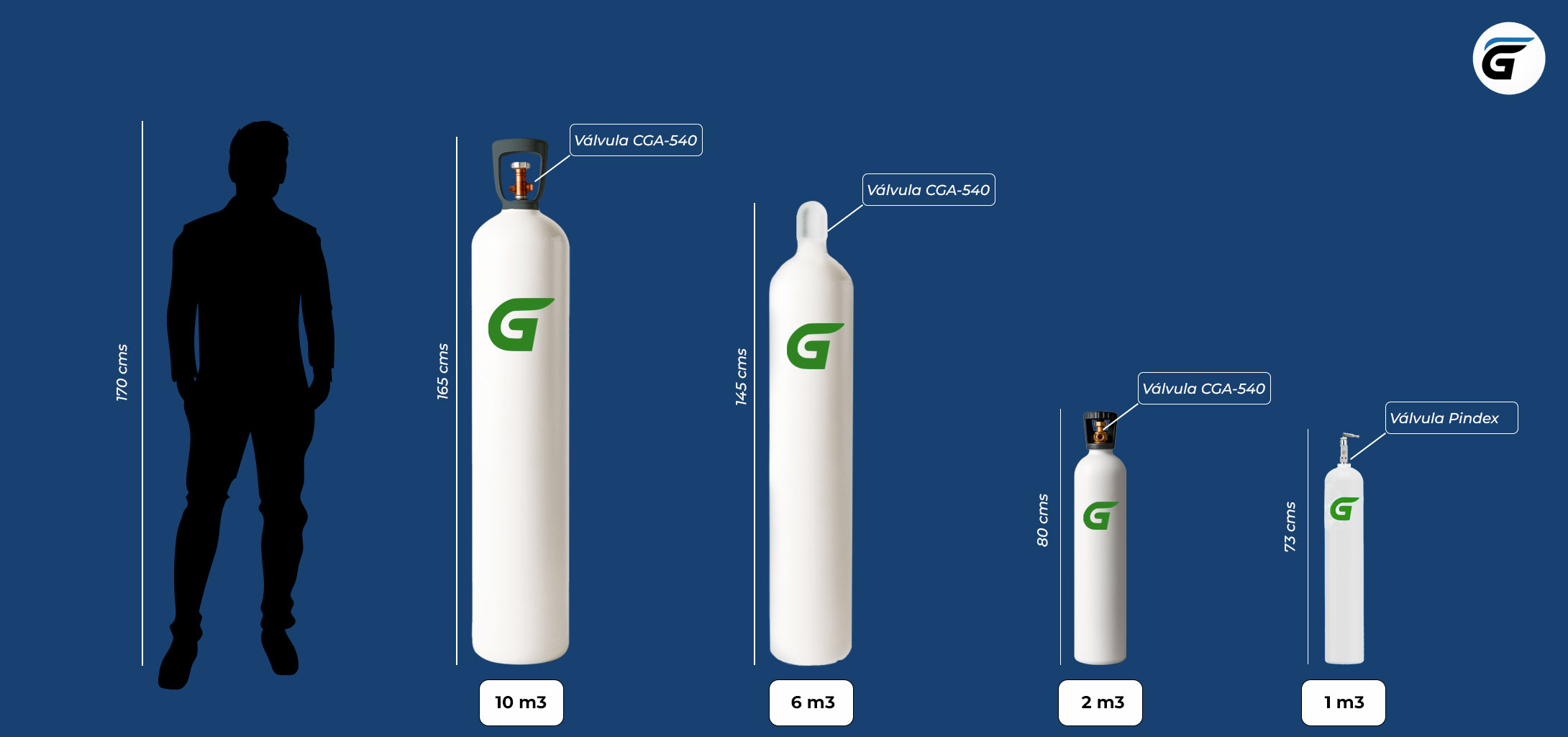 Gasex interactivo