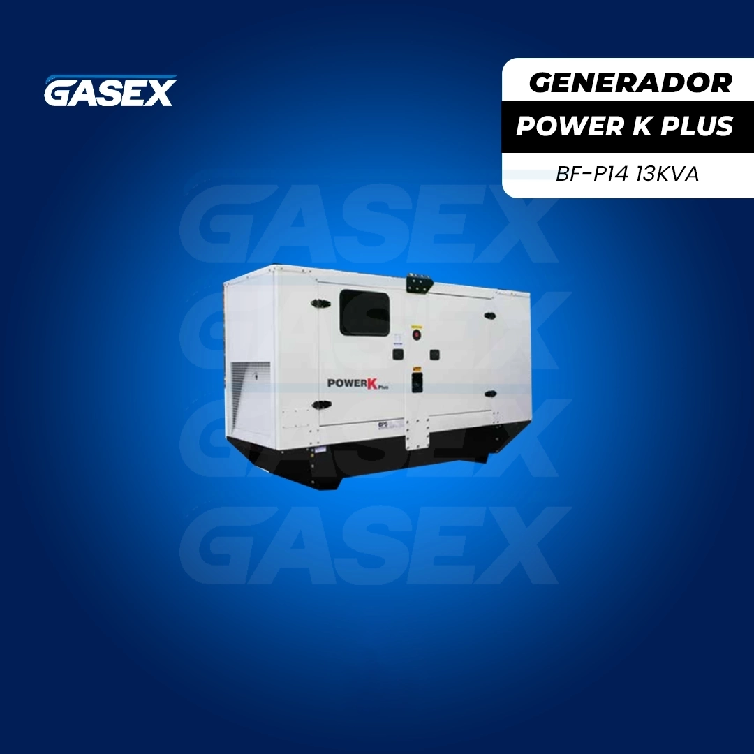 VENTA Generador Eléctrico Diesel Power K Plus – BF-P14/13 kVA