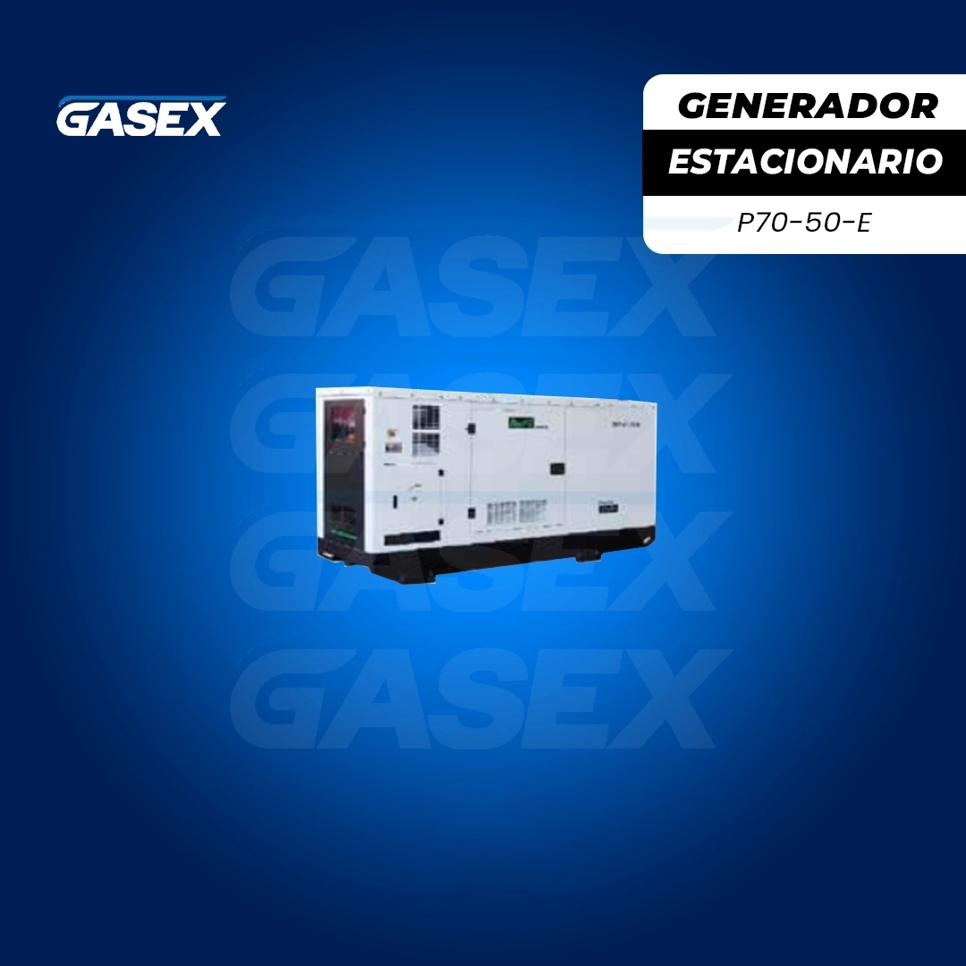 VENTA Generador Eléctrico Estacionario Power K Plus – P70-50-E