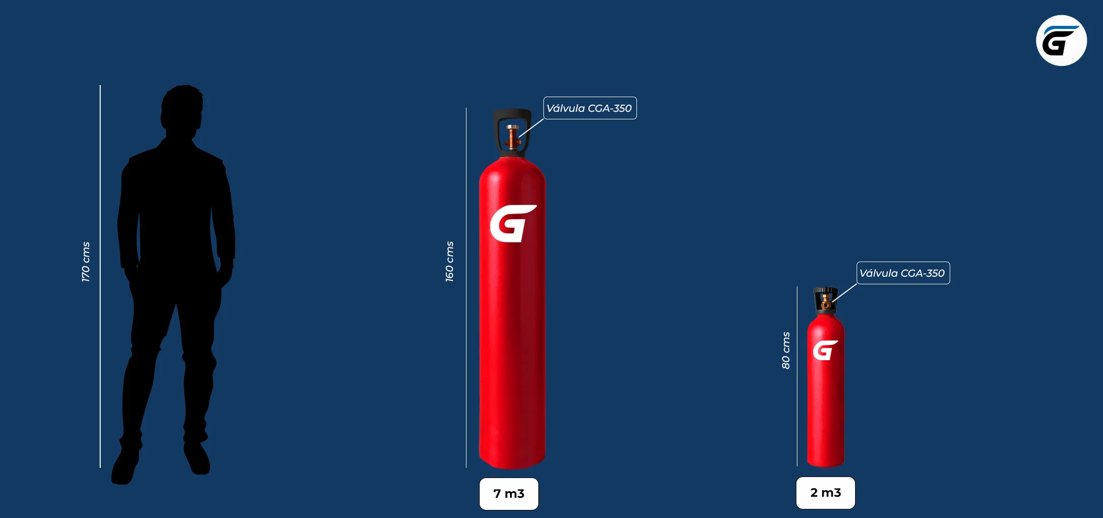 Gasex interactivo