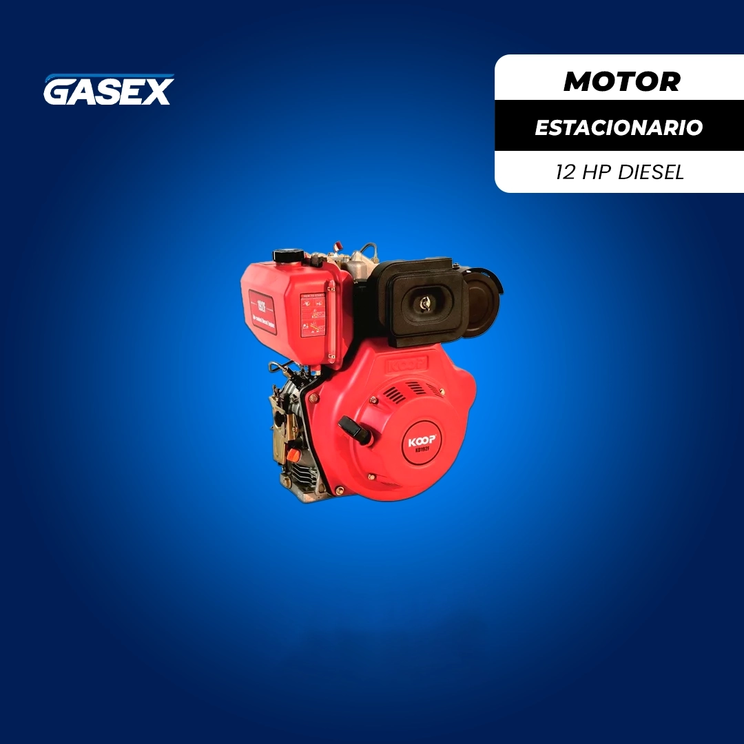VENTA Motor Estacionario Diesel Koop – KD192 12HP