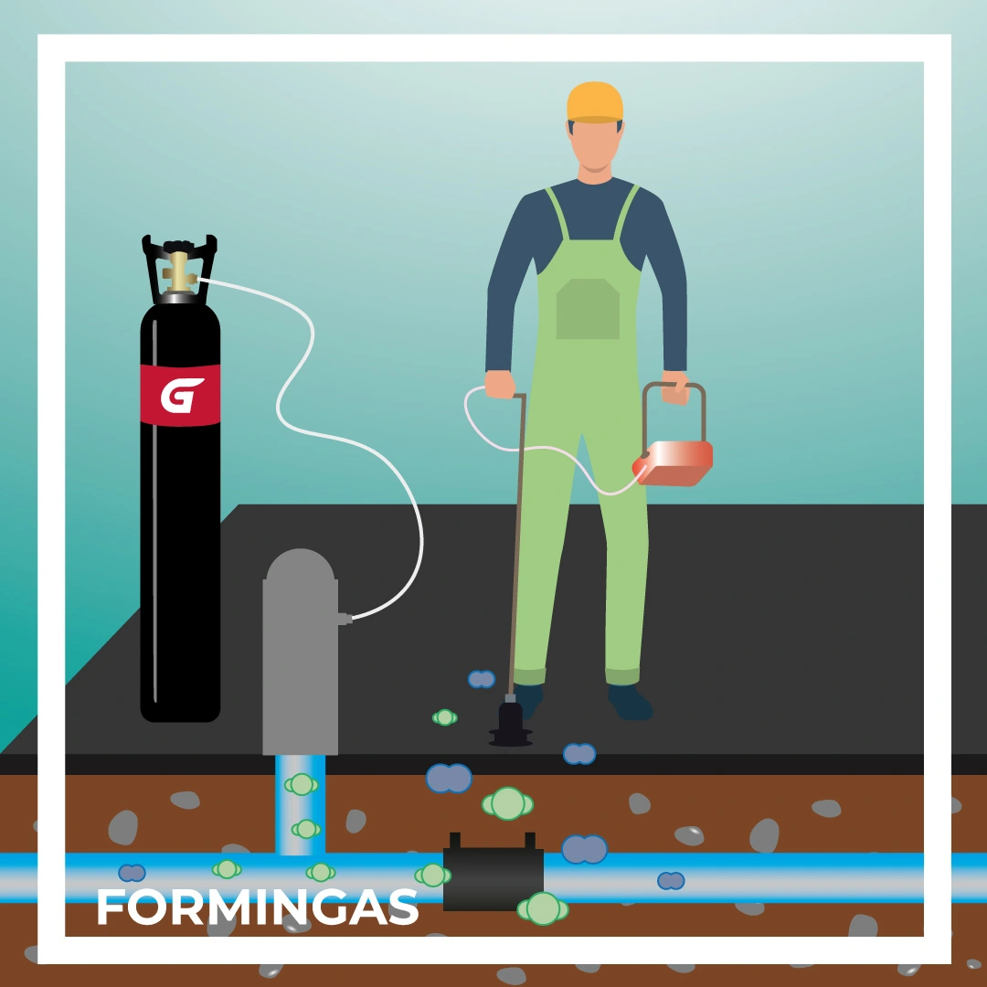 tp_formingas
