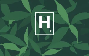 Hidrógeno verde: la energía del futuro