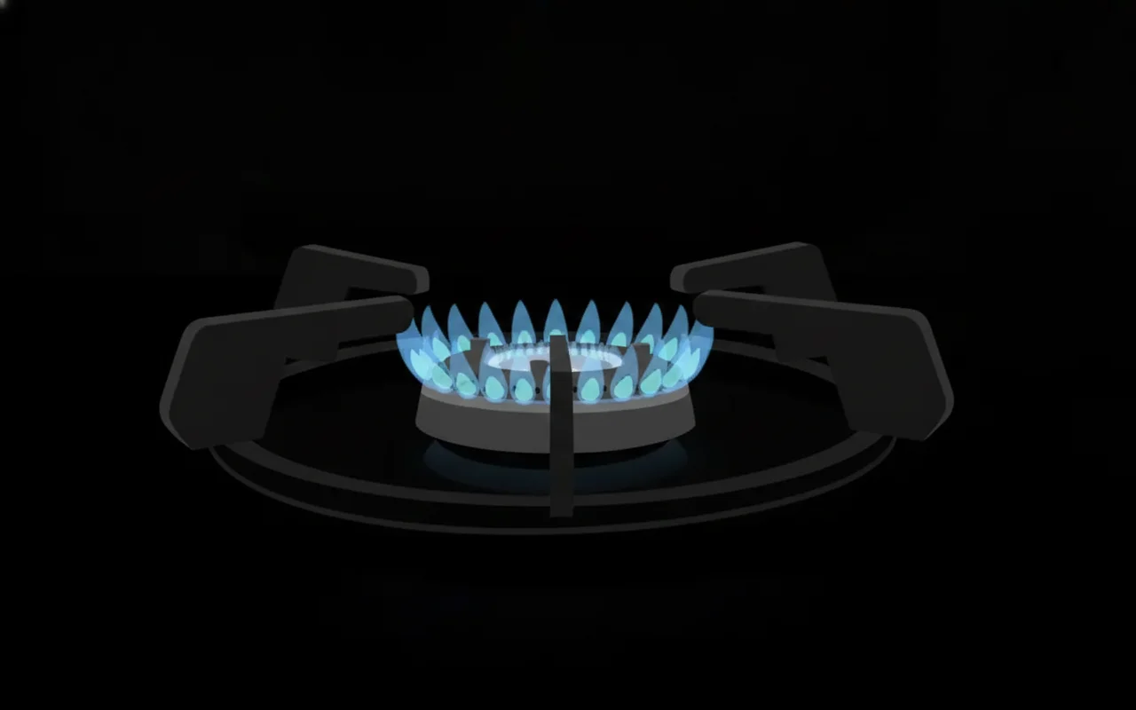 Gas propano: ¿qué es y cuáles son sus características?