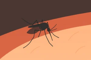 CO2 atrae mosquitos, ¿Sabías por qué ocurre esto?