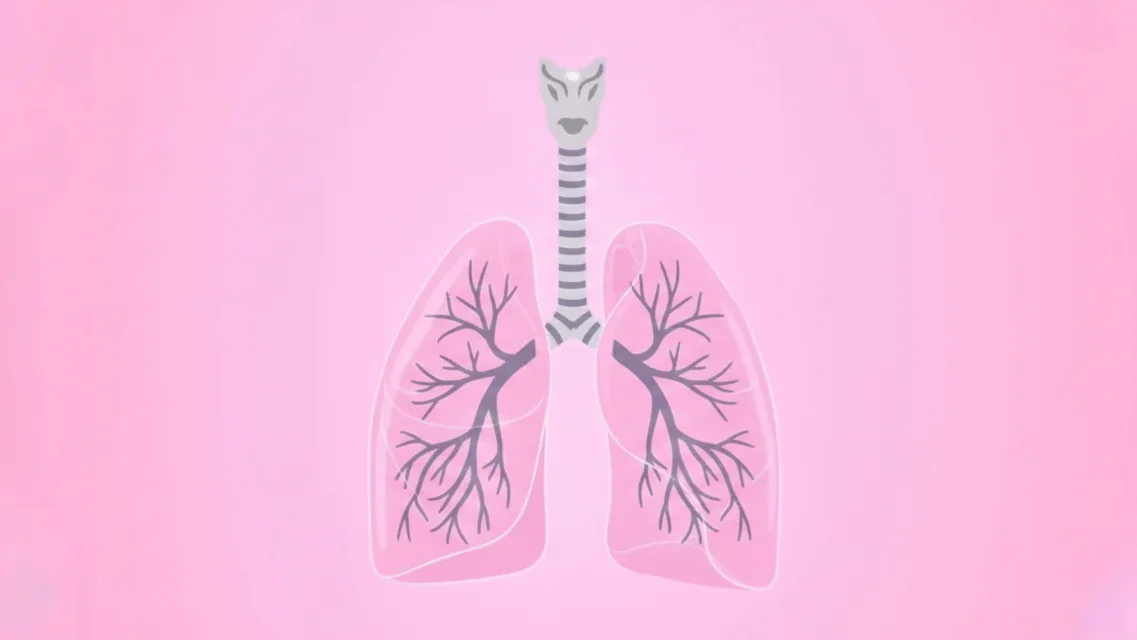 Capacidad de difusión pulmonar: definición y procedimientos