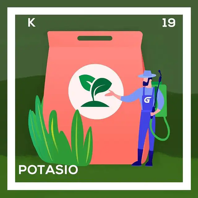 Potasio