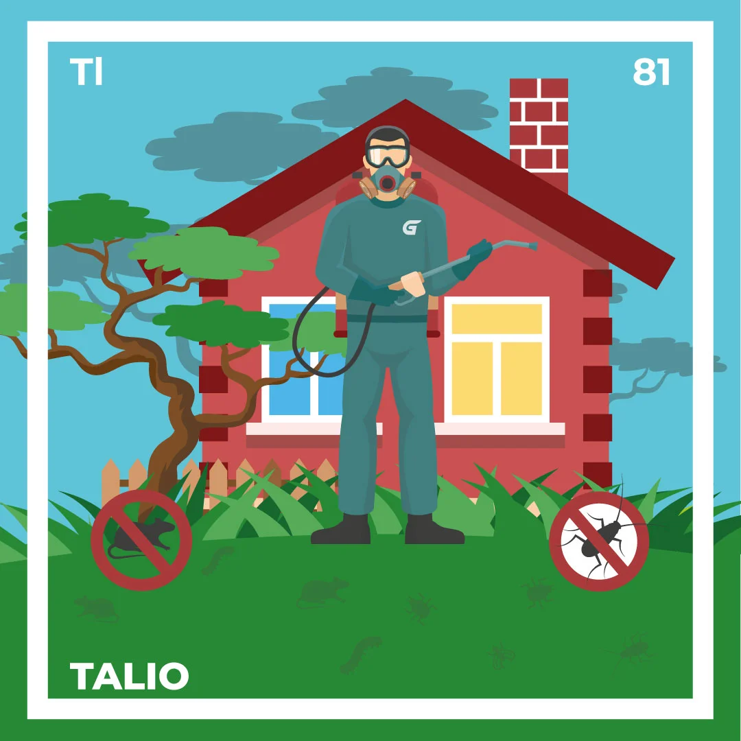 Talio