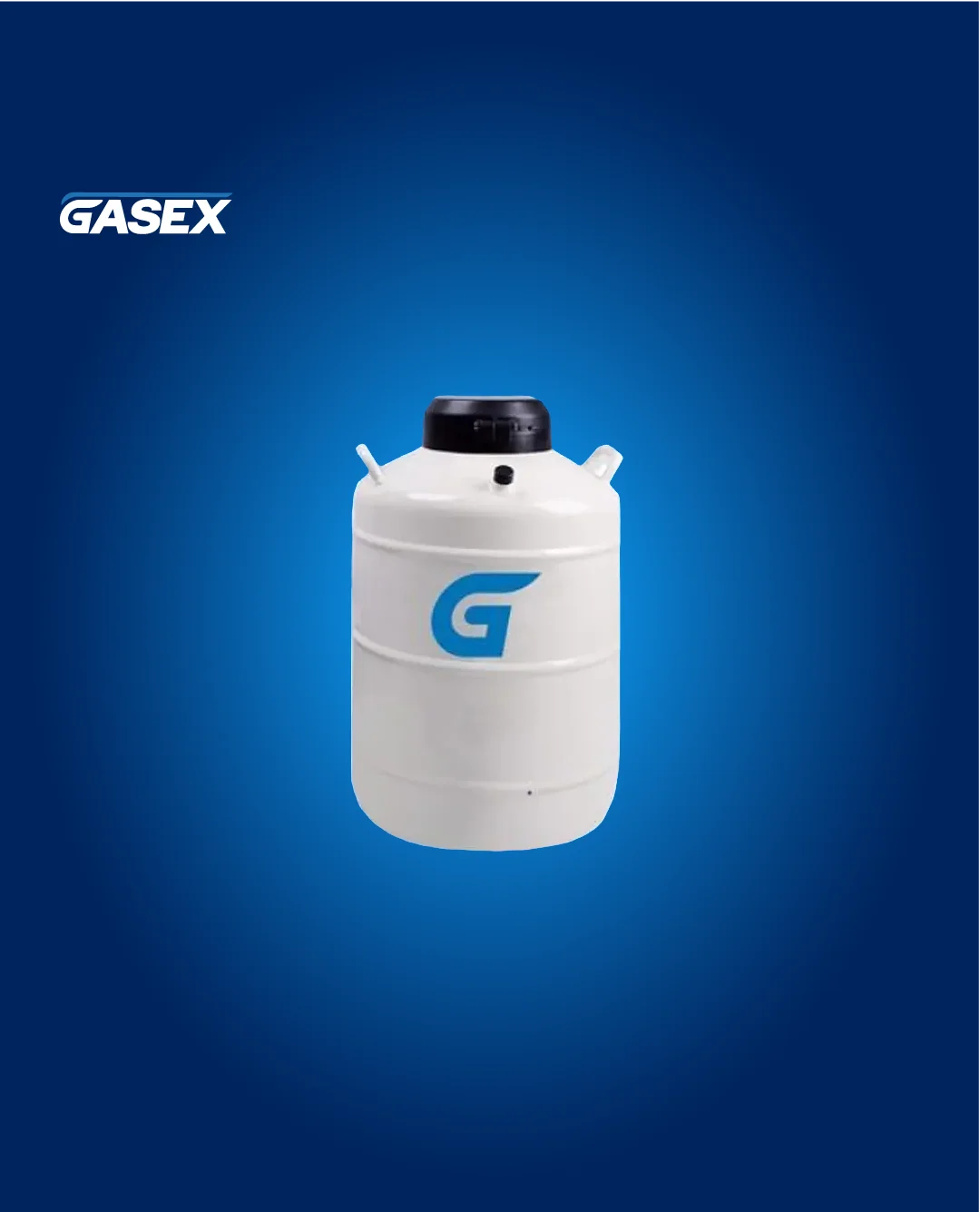 ARRIENDO Termo Nitrógeno Capacidad 20 L