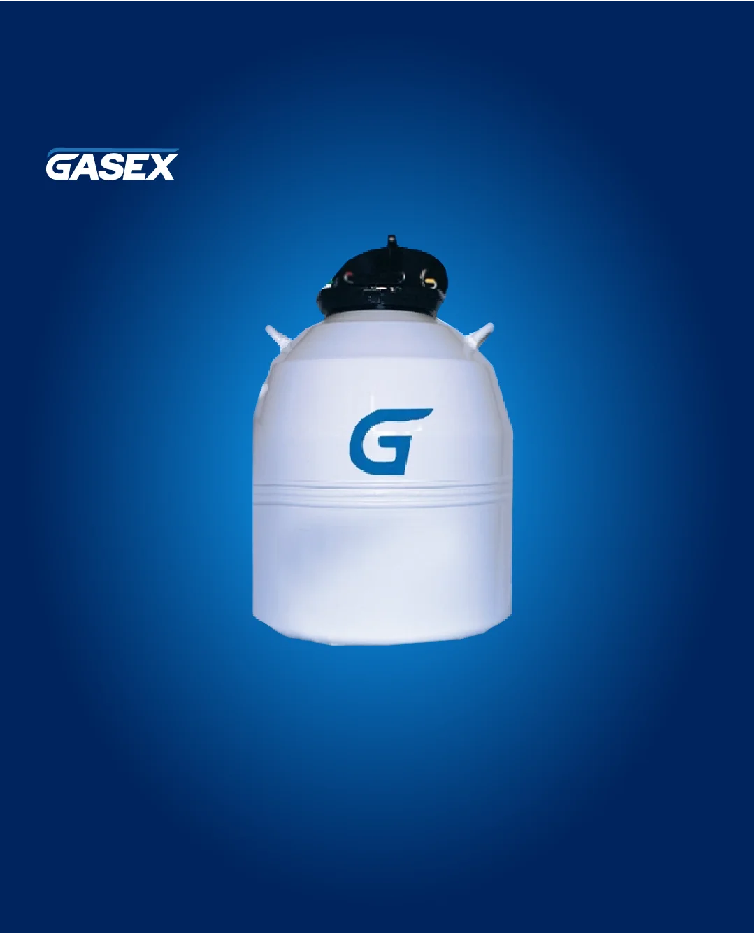 ARRIENDO Termo Nitrógeno Capacidad 35 L